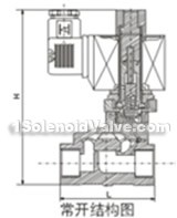 RSP pilot magnetic valve constructral diagram(pic1)