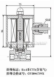 ZBS export series stainless steel solenoid valve constructral diagram(pic1)