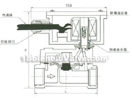 ZCSB series water dispenser anti-explosion solenoid valve constructral diagram